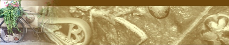 tanie noclegi, apartamenty - rezerwacja on-line
